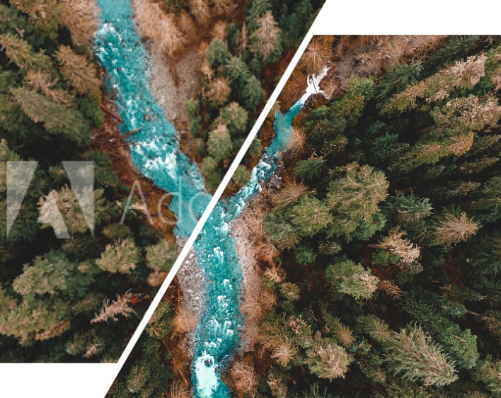 Adobe-Stock-unwatermarked