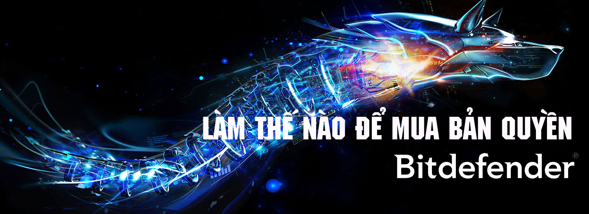 Làm thế nào để doanh nghiệp mua bản quyền Bitdefender giá tốt?