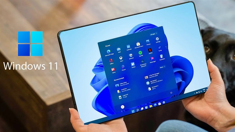 HĐH-Windows-11_3