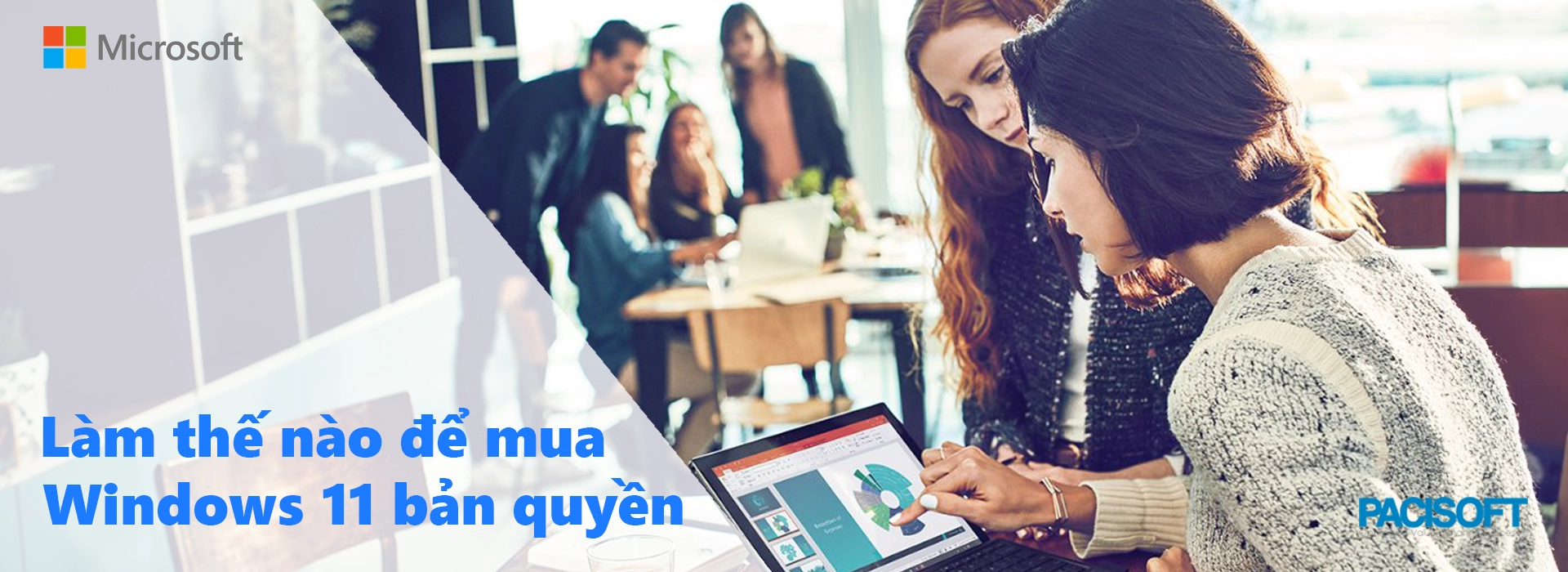 Hướng dẫn mua Windows 11 bản quyền đầy đủ bạn cần phải biết