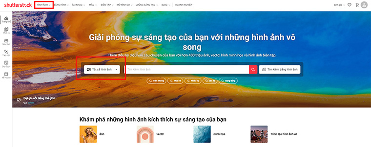 shutterstock-search
